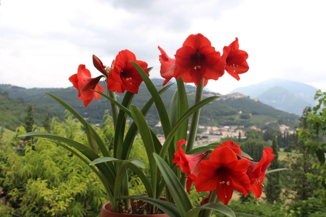 Il Castello Sul Lago Arrone Екстериор снимка
